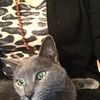 judyp617